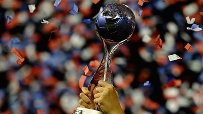 فالك يقترح الحصول على موافقة البرلمان قبل التقدم لاستضافة كأس العالم