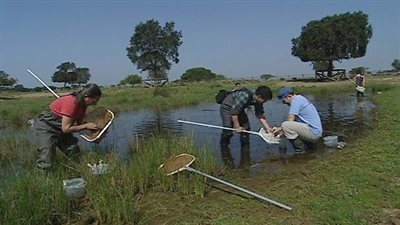 تعليق عمليات الصيد بالسواحل المقابلة لمحطة فوكوشيما النووية