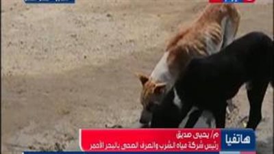 بالفيديو.. العطش يضرب «القصير» بالبحر الأحمر وعبوة المياه بـ5 جنيهات