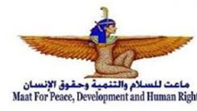 «عقيل»: مصر تتجه بقوة لتطبيق الآليات الأفريقية لحماية حقوق الإنسان