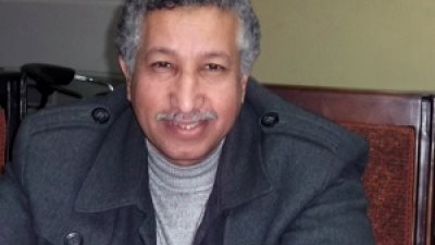 الشريف: اعتراض الكنيسة على المادة 219 محاولة لعلمنة الدولة