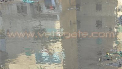 غرق مساكن «النوبارية» بالإسكندرية بسبب كسر ماسورة مياه