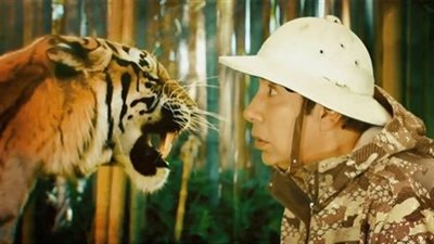 السرقة في نهار رمضان تتصدر «تحقيقات فيتو»