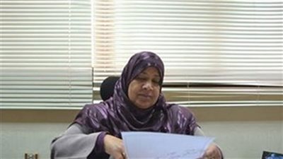 الوادي الجديد تخصص 15 مليون جنيه لطرق الخارجة