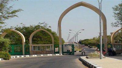الدفاع تستبدل كلية الألسن بـ«اللغات والترجمة» في أسوان