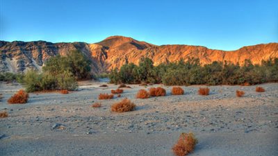 «البيئة»: طرح محمية وادي الجمال للاستثمارات قريبا