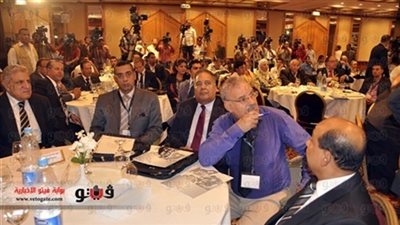 المتحدث باسم المصريين بالنمسا يطالب بتمثيل المصريين بالخارج في لجنة الخمسين