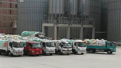 توريد 269 ألفا و563 طن قمح لصوامع وشون الشرقية