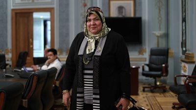 نائبة: هناك خطة ممنهجة لوضع اليد على أراضى الدولة باسم الثورة