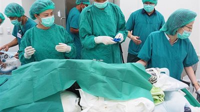 بالصور.. إزالة 915 عملة معدنية من بطن سلحفاة بحرية