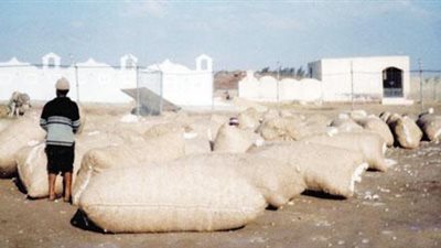 «عاوزينها تبقى خردة».. «حليج الأقطان» في المنيا تقع في «فخ الخصخصة».. و9 مصانع خارج نطاق الخدمة «بأمر الحكومة».. بيع «غزل الفيوم» يكشف فضيحة «الب