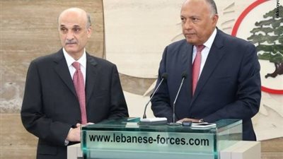 سامح شكري لرئيس حزب لبناني: الفراغ الرئاسي ينتهي بموافقة الشعب