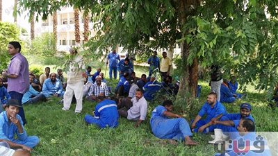 بالصور.. اعتصام عمال «كيما أسوان» للمطالبة بالعلاوات