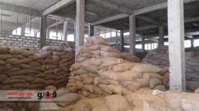 بالفيديو والصور.. شون الفيوم تسلمت 198 ألف طن قمح