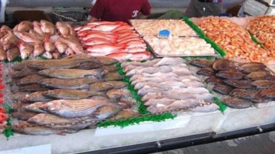 تراجع أسعار الأسماك بسوق العبور.. والجمبرى يفقد 10 جنيهات