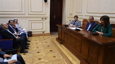 وزيرة الهجرة: ليس لدى معلومات عن الجالية المصرية في إسرائيل