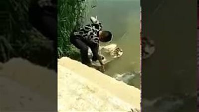 بالفيديو.. رحلة صيد لصياد طماع تنتهي بمفاجأة