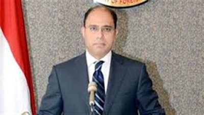 «الخارجية»: «أي تسرع في قضية ريجيني ليس في مصلحة البلدين»