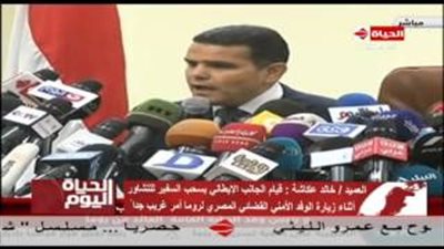 بالفيديو.. «الوطني للدراسات»: التصريحات المغلوطة وراء تأزم «قضية ريجيني»