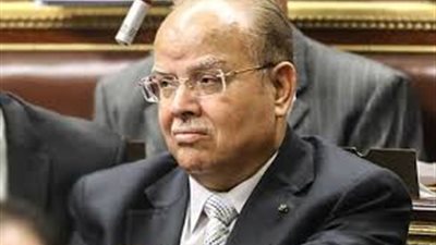 سري صيام: البرلمان لا يحتاج إلى لائحة داخلية