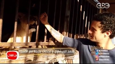 بالفيديو.. أحمد الفيشاوي يضع يده في فم أسد