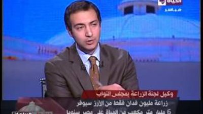 برلماني: زراعة مليون فدان أرز يوفر 6 مليارات متر مكعب من المياه