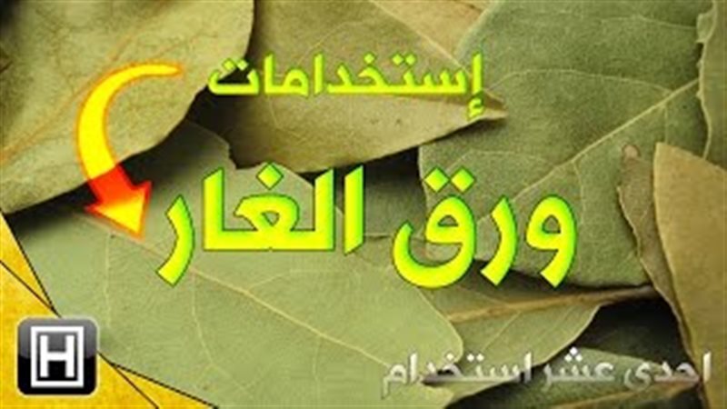 فيتو