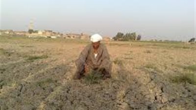 ري الفيوم يزيل التعديات على المجاري المائية