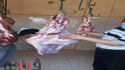ضبط لحوم مخالفة فى حملة قبل عيد الأضحى بالشرقية | صور