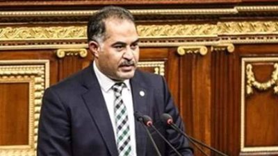 سليمان وهدان: الوفد ينحاز دائما للقضايا الوطنية