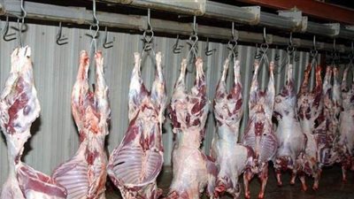 10  تعليمات من 