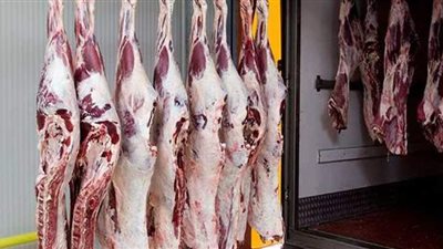 الزراعة: جميع المجازر تعمل فى العيد.. وذبح الأضاحي مجانا