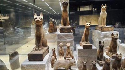 رئيس قطاع المتاحف: متحف شرم الشيخ استقبل 550 قطعة أثرية