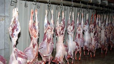 مجازر القاهرة : الكشف مجانا على الأضاحي..  و المواطن يتحمل تكلفة الذبح