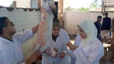 الحكومة: حملات تفتيشية مكثفة على الأسواق  والمجازر خلال العيد