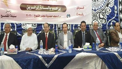 مرشحو ائتلاف الأحزاب ومستقبل وطن يكثفون الدعاية