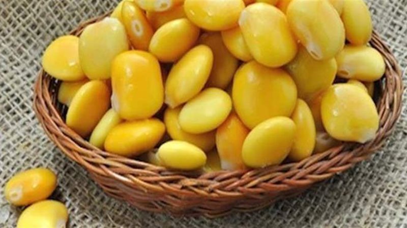الترمس