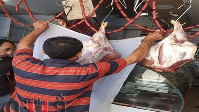 تشميع صيدلية غير مرخصة وإعدام 2 طن لحوم فاسدة بالشرقية | صور