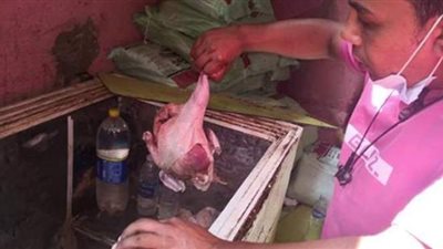 التحفظ على 882 كيلو لحوم متنوعة ودواجن.. وتحرير 33 محضرا في الدقهلية