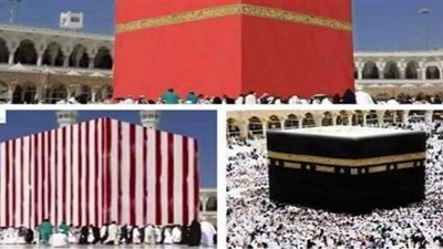 منهم الأحمر والأبيض .. ٧ ألوان  ل 