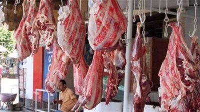 خطوات تحرير محاضر غش اللحوم والاضاحي