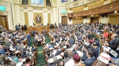 برلماني: وجود مصر ضمن أكبر 10 دول توفير لاحتياطي السلع 