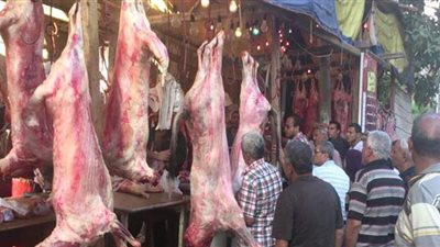 طوارئ واستعدادات مكثفة فى الإسكندرية لاستقبال عيد الأضحى