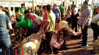 أهالي الإسكندرية يذبحون الأضاحي في الشوارع بالمخالفة لقرارات المحافظ