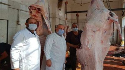 مجازر القليوبية تستقبل الأضاحي بالمجان أول يوم العيد و70 اضحية ببنها