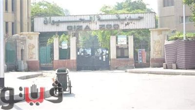 أهالي الجيزة يحتفلون بعيد الأضحى في الشوارع | صور