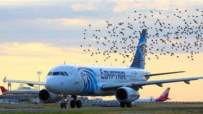 مصر للطيران تسير ٣١ رحلة دولية وداخلية لنقل ٢٥٠٠ راكب