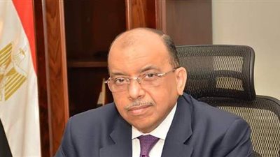 قروض بـ 2,6 مليون جنيه لتمويل 297 مشروعاً بـ 13 محافظة من خلال صندوق التنمية المحلية