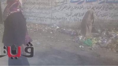 حملة نظافة في السلامية وأولاد نجم  بقنا تزامنًا مع أول أيام العيد | صور