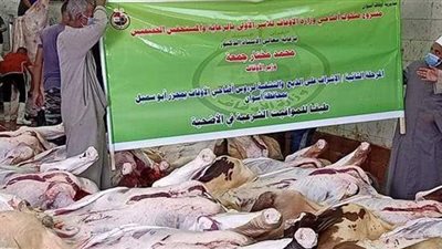 انطلاق عملية الذبح الشرعي لأضاحي الأوقاف بإشراف بيطري